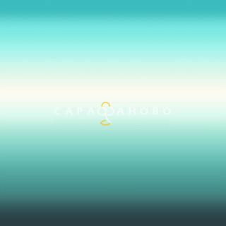 Ткань Сатин 220 см рис 11998 вид 9
